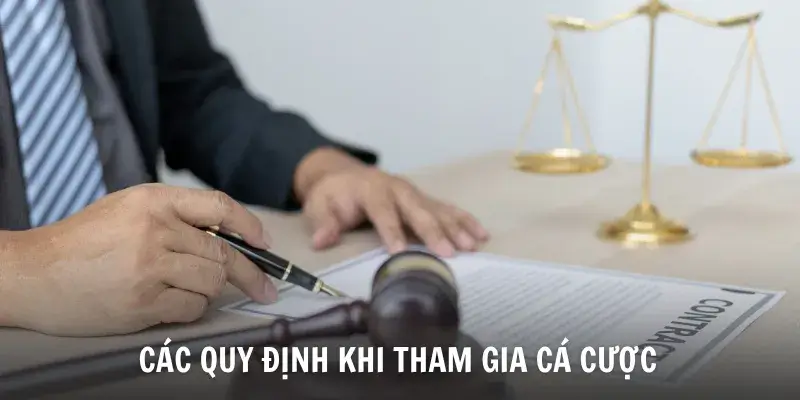Điều khoản và dịch vụ PG99 khi đăng ký tài khoản Điều khoản và dịch vụ PG99 khi đăng ký tài khoản