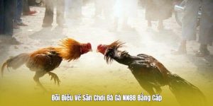 Giới thiệu về sân chơi đá gà Nn88